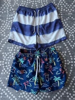 Chubbies Swim Trunks American Eagle Shorts Men’s Small palm trees flamingo drink